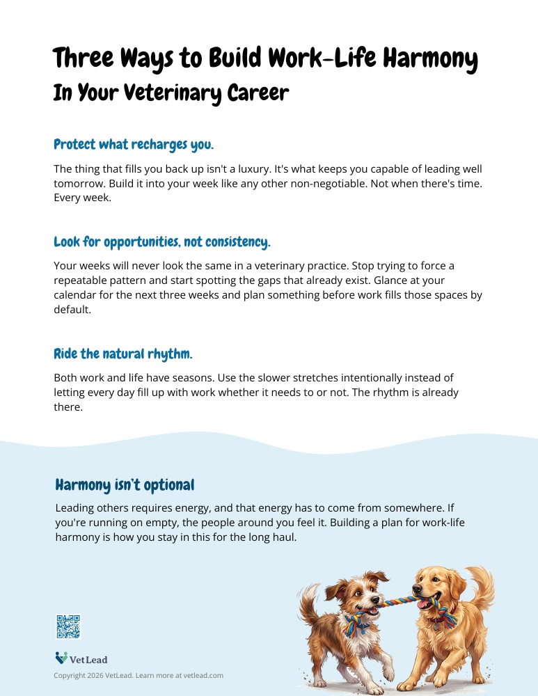 Three Ways to Build Work-Life Harmony - VetLead (1)
