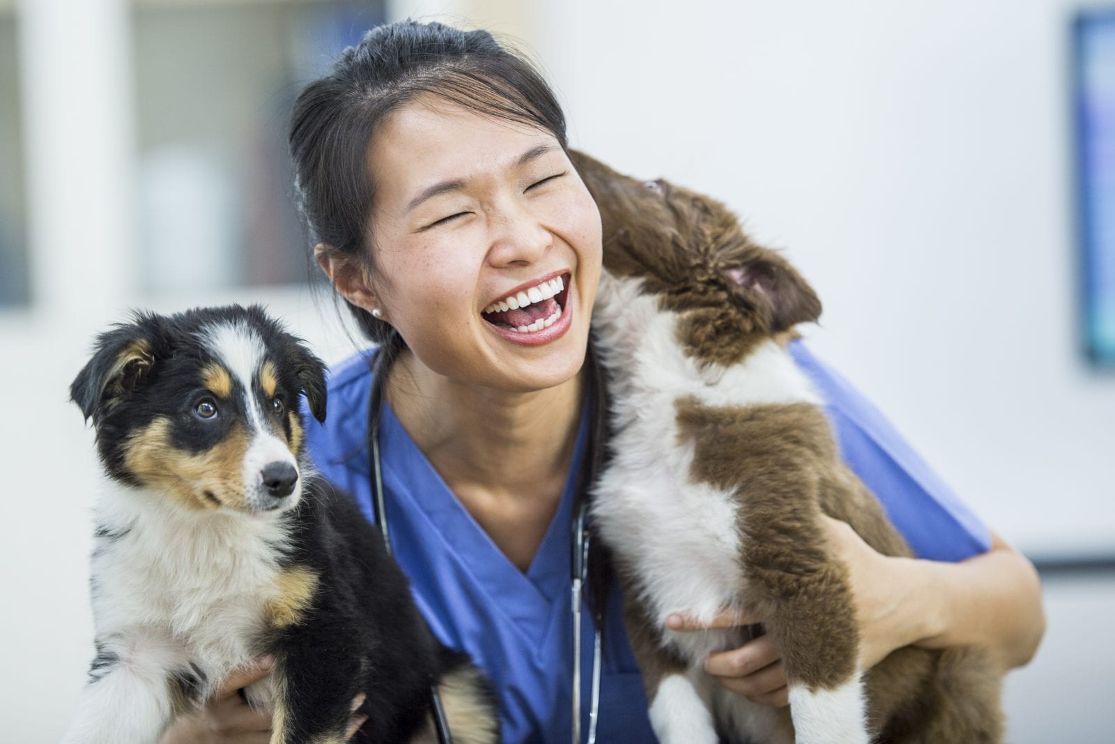 iStock-851393466
