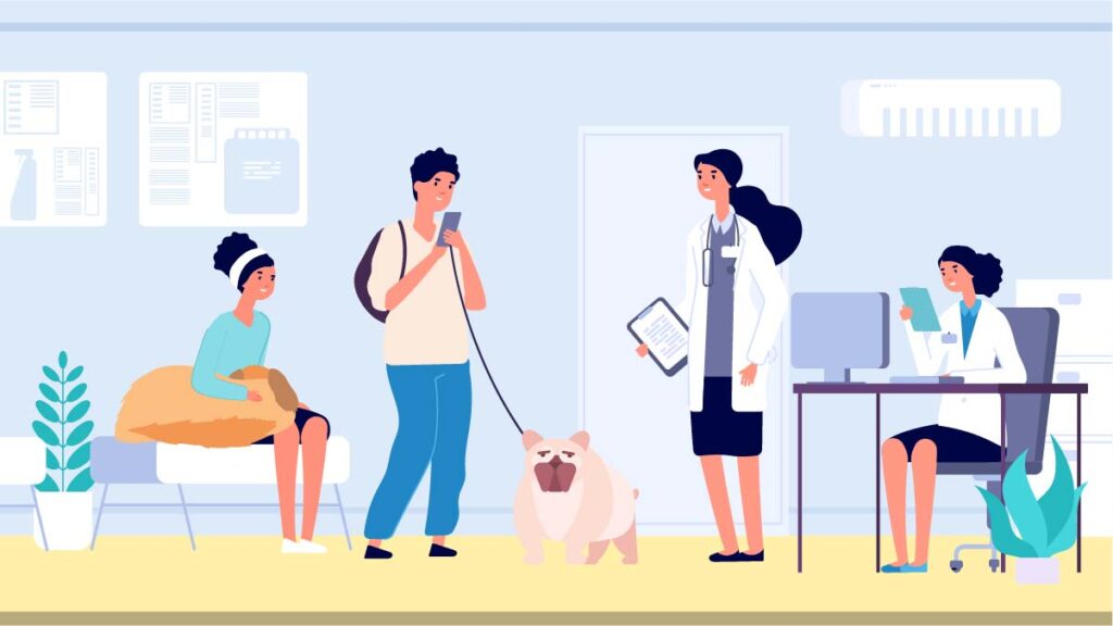 Creating a Culture of Client Service in Your Veterinary Practice VetLead