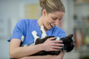 Leadership Workshops for Veterinary Practices