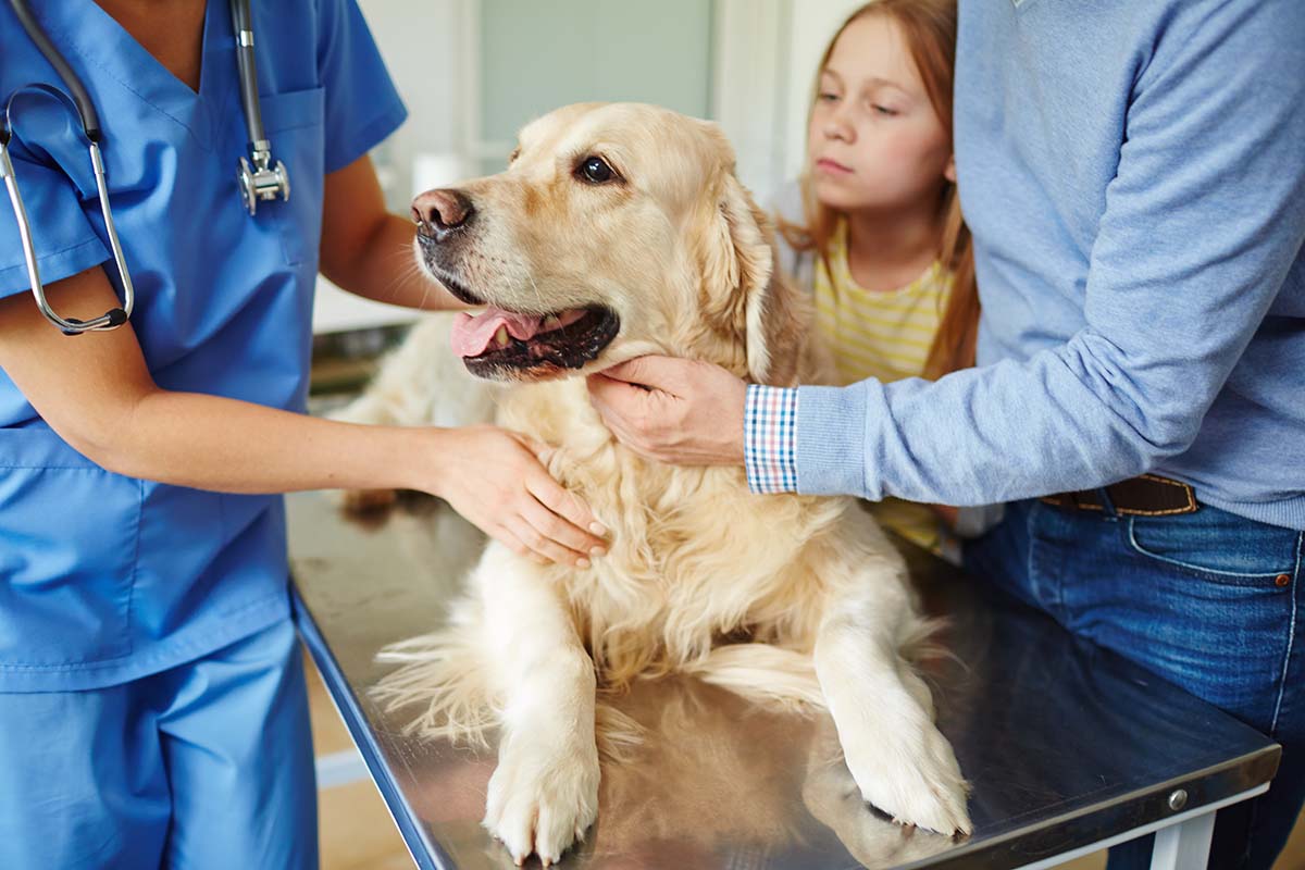 Veterinary Leadership Program Veterinary Leadership Program
