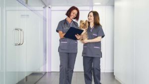 Be a leader in your veterinary clinic