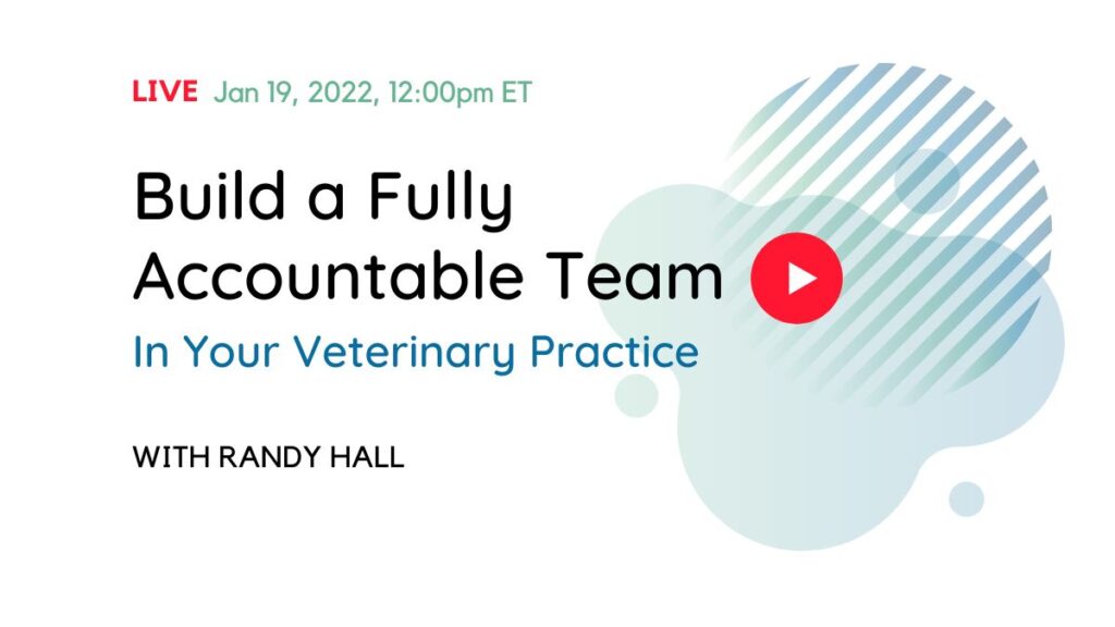 Build an accountable team