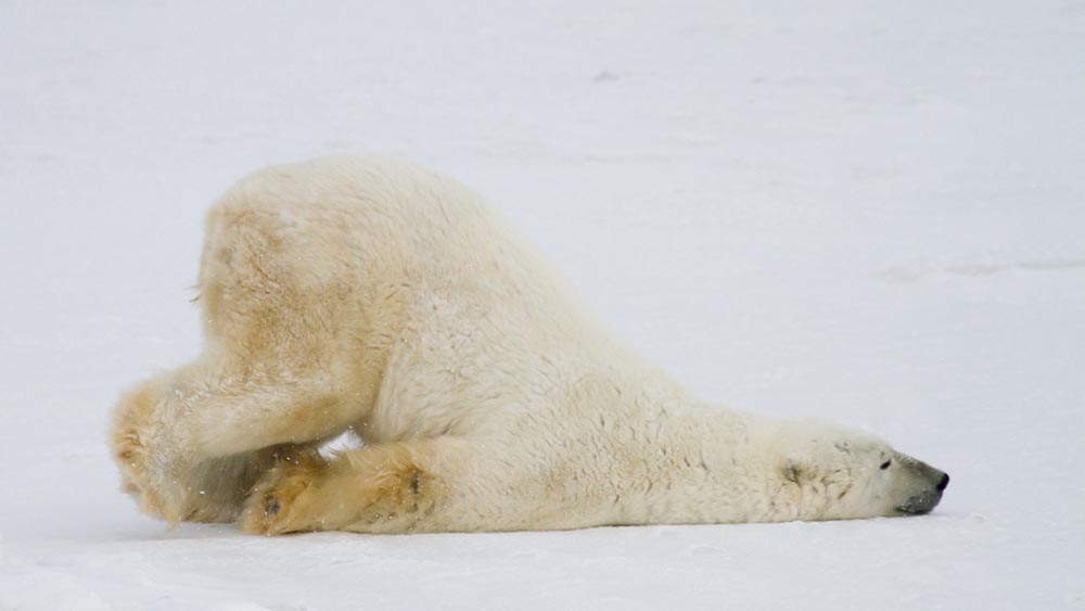 3 Ways engagement gets crushed