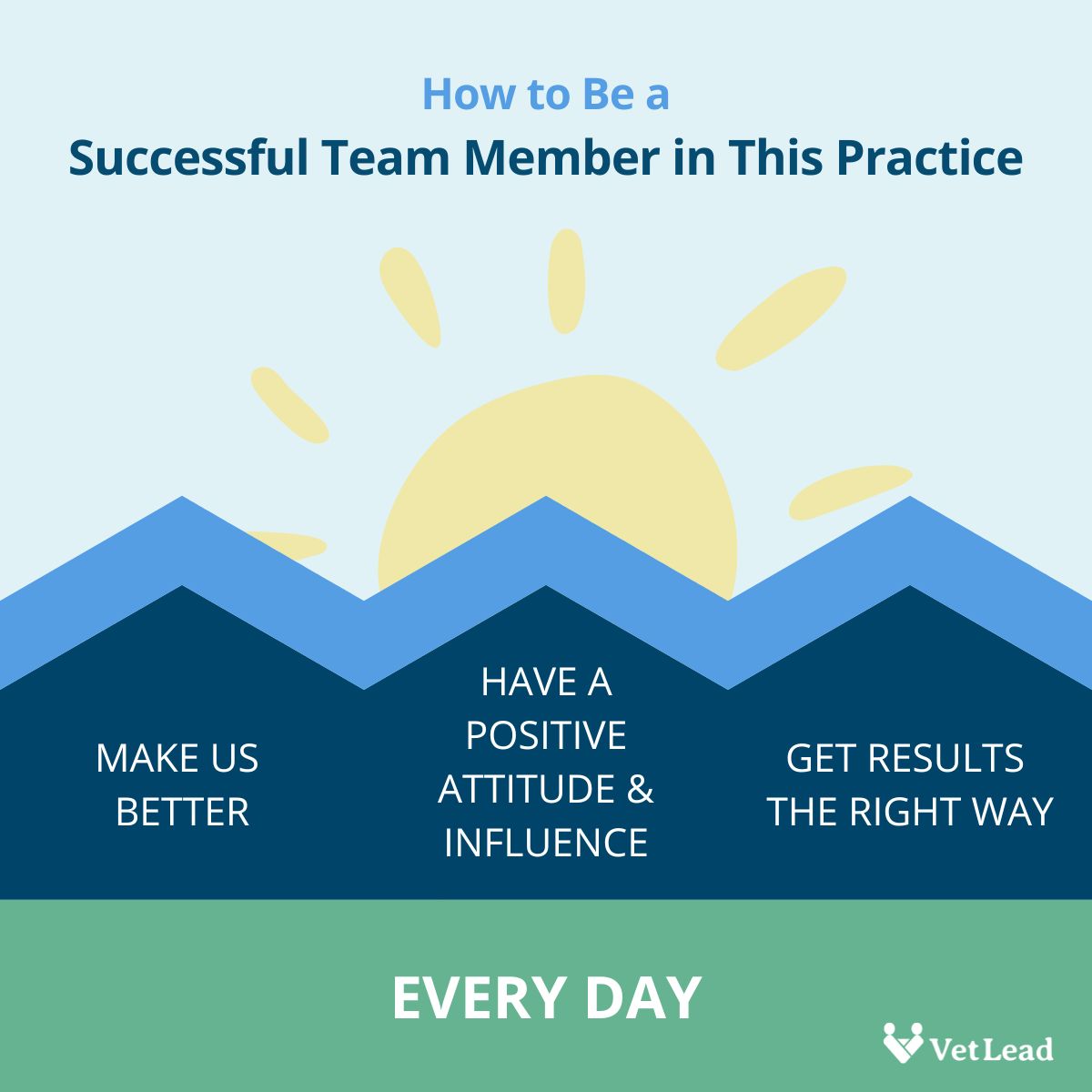 Be a successful team member