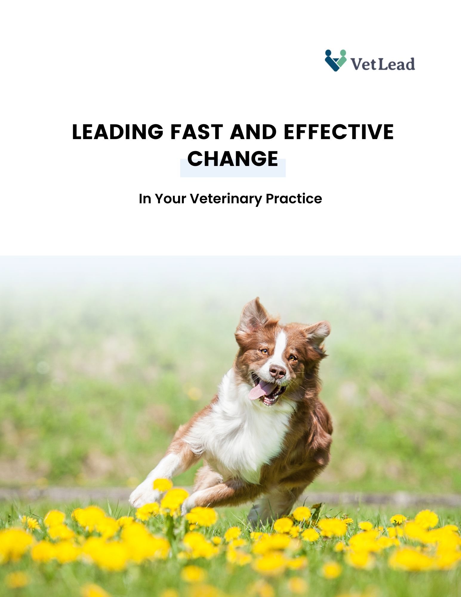 Download - Leading Fast and Effective Change