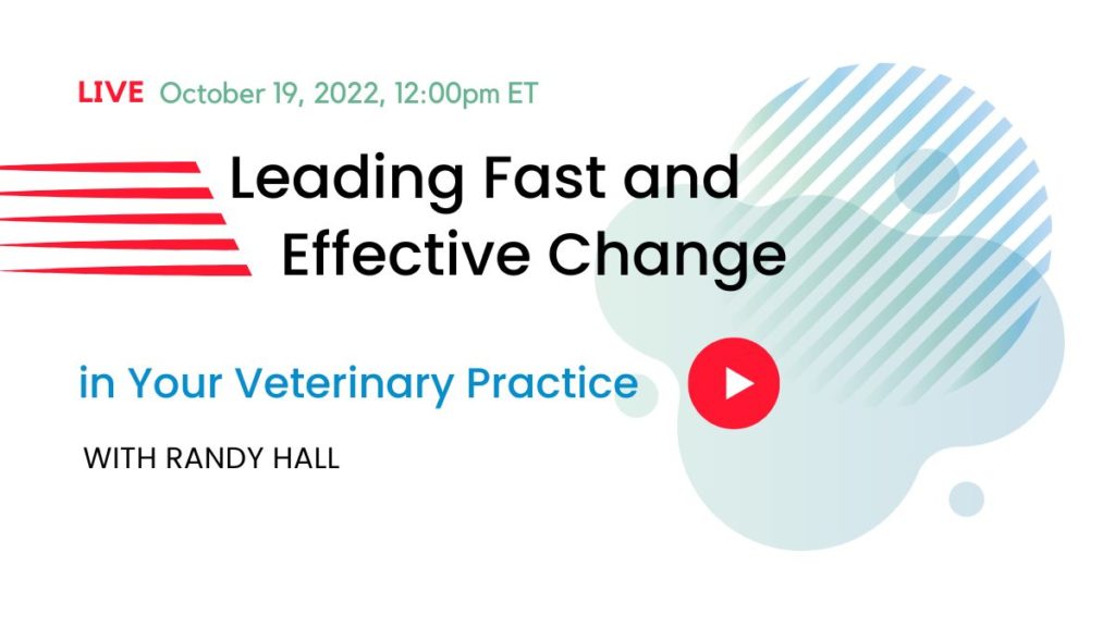 Leading fast and effective change