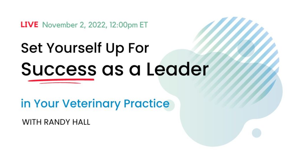 Set yourself up for success as a leader