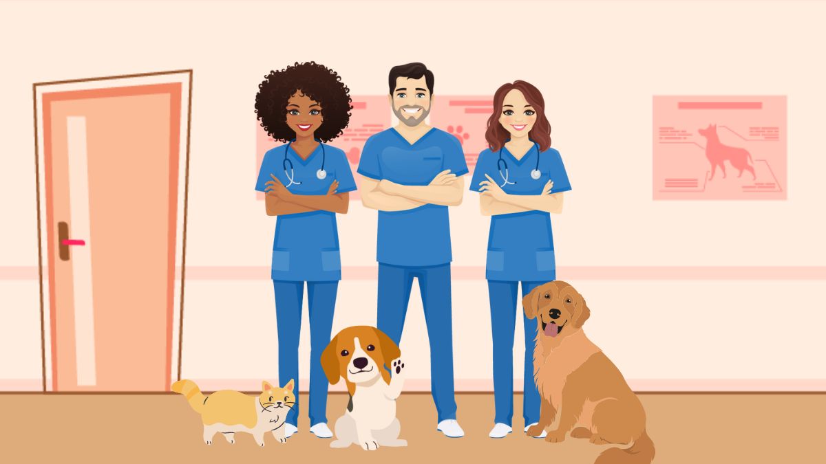 Is your veterinary team better because of you?