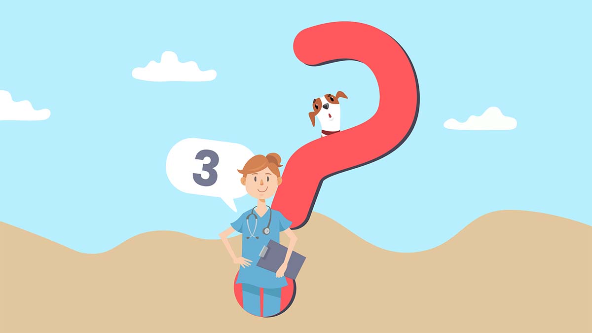 3 Questions to ask yourself as a veterinary leader