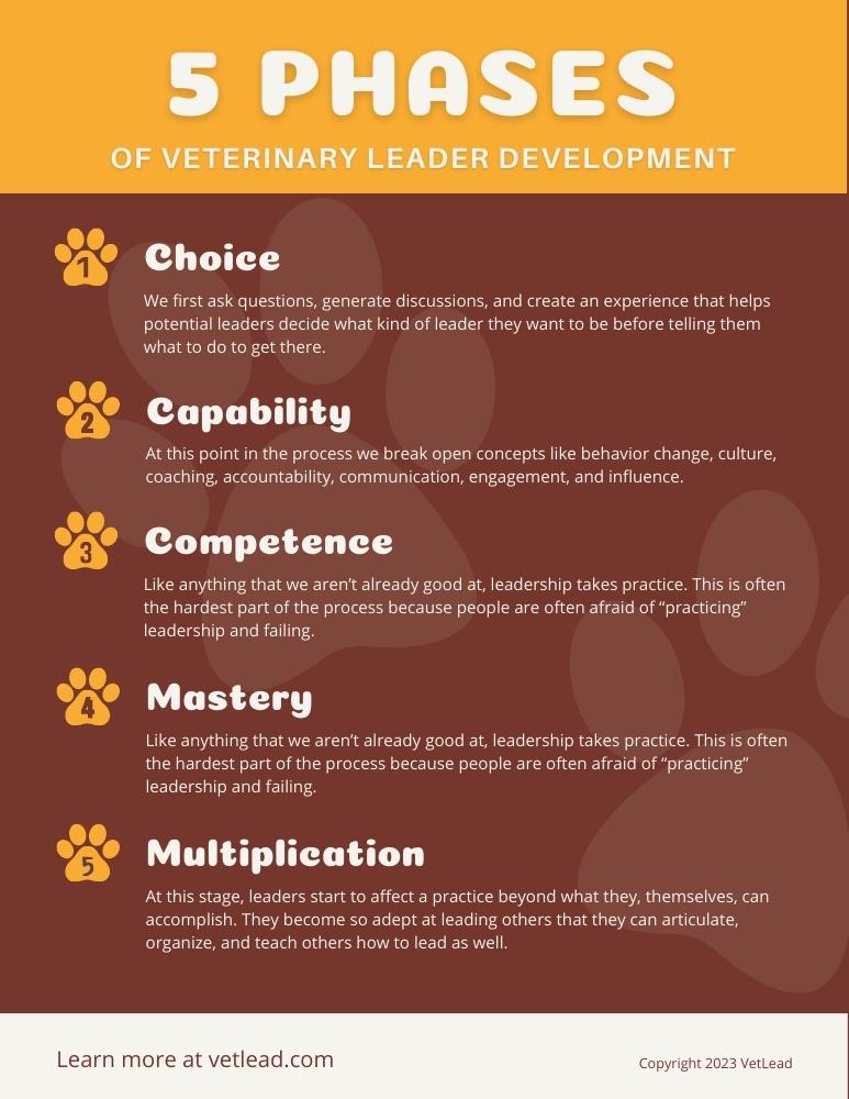 5 Phases of Veterinary Leader Development