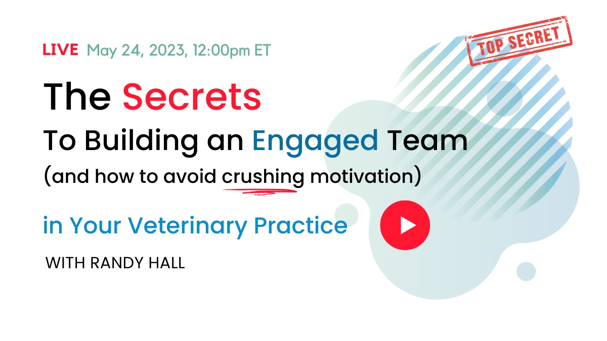 The secrets to building an engaged team