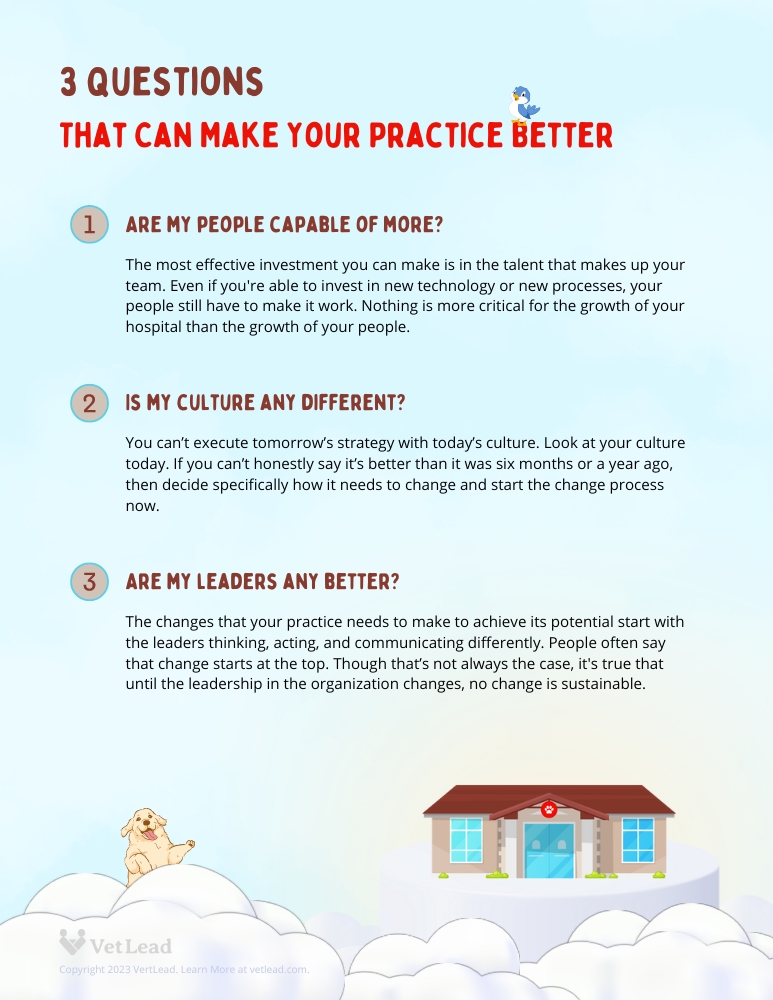3 Questions That Can Make Your Veterinary Practice Better