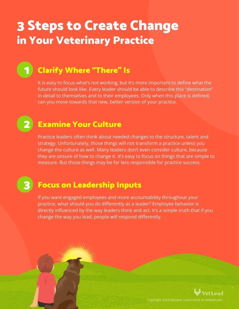 3 Steps to create change in your veterinary practice
