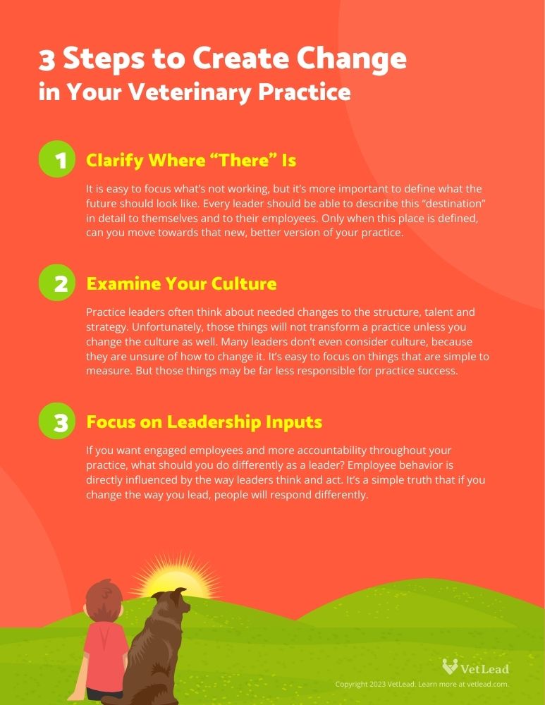 3 Steps to create change in your veterinary practice 3 Steps to create change in your veterinary practice