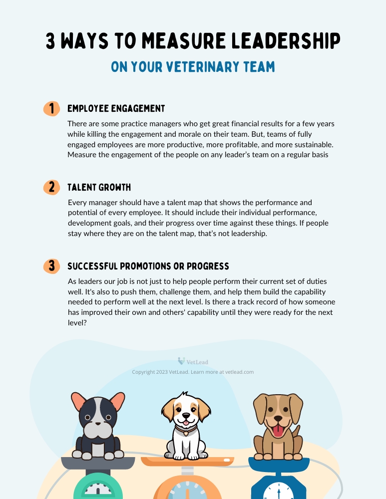 3 Ways to Measure Leadership in Your Veterinary Practice - VetLead