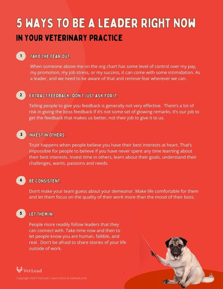 5 Ways to Be a Leader Right Now in Your Veterinary Practice