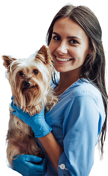 Start your VetLead membership today.