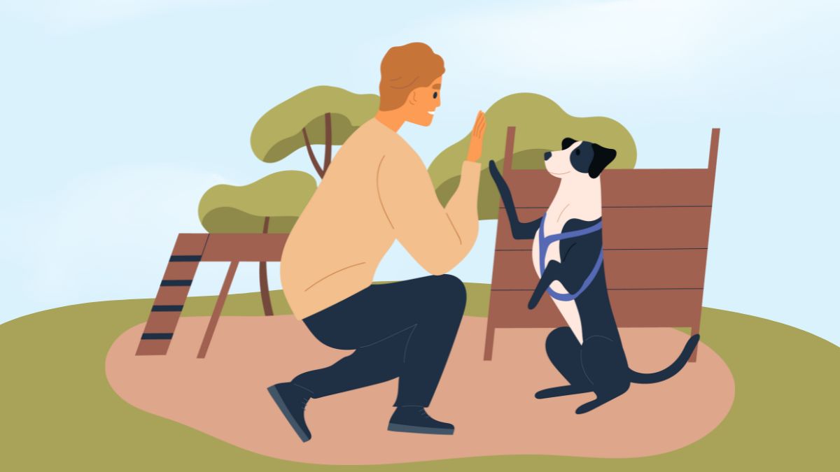 You can consistently develop as a leader in your veterinary practice You can consistently develop as a leader in your veterinary practice