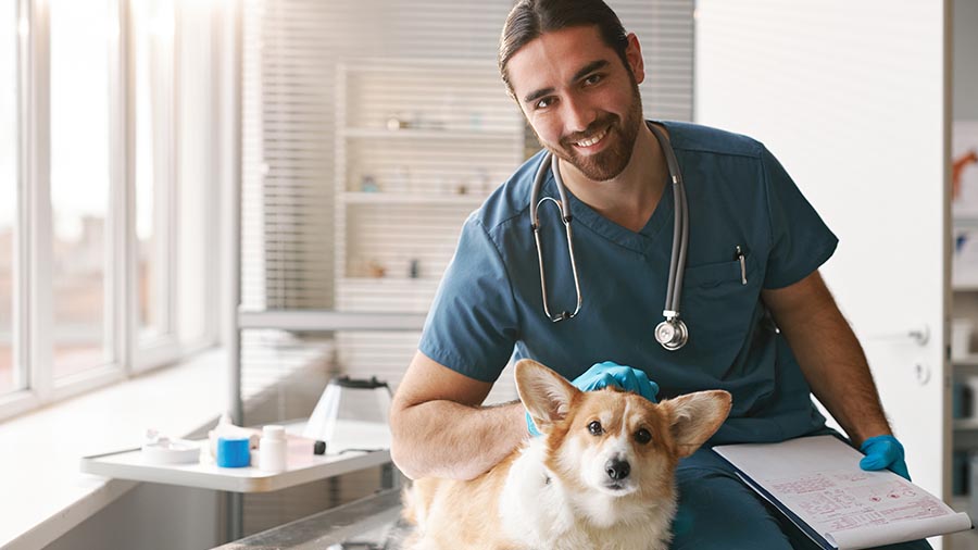 Define success in your veterinary training program