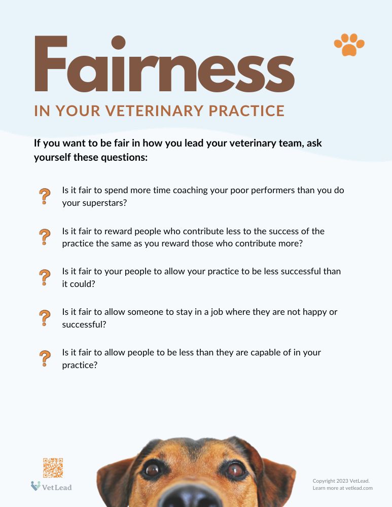 Fairness in your veterinary practice