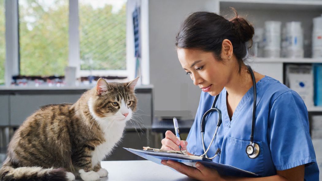 Make a list of your goals and compare them to the veterinary practice's mission.