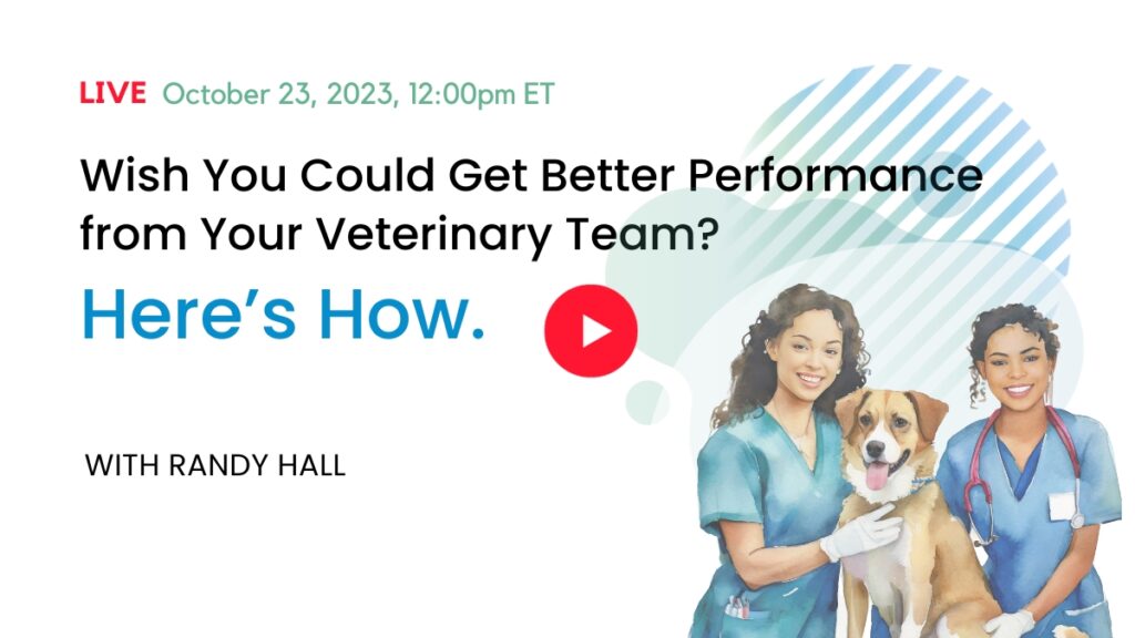 Get better performance from your team