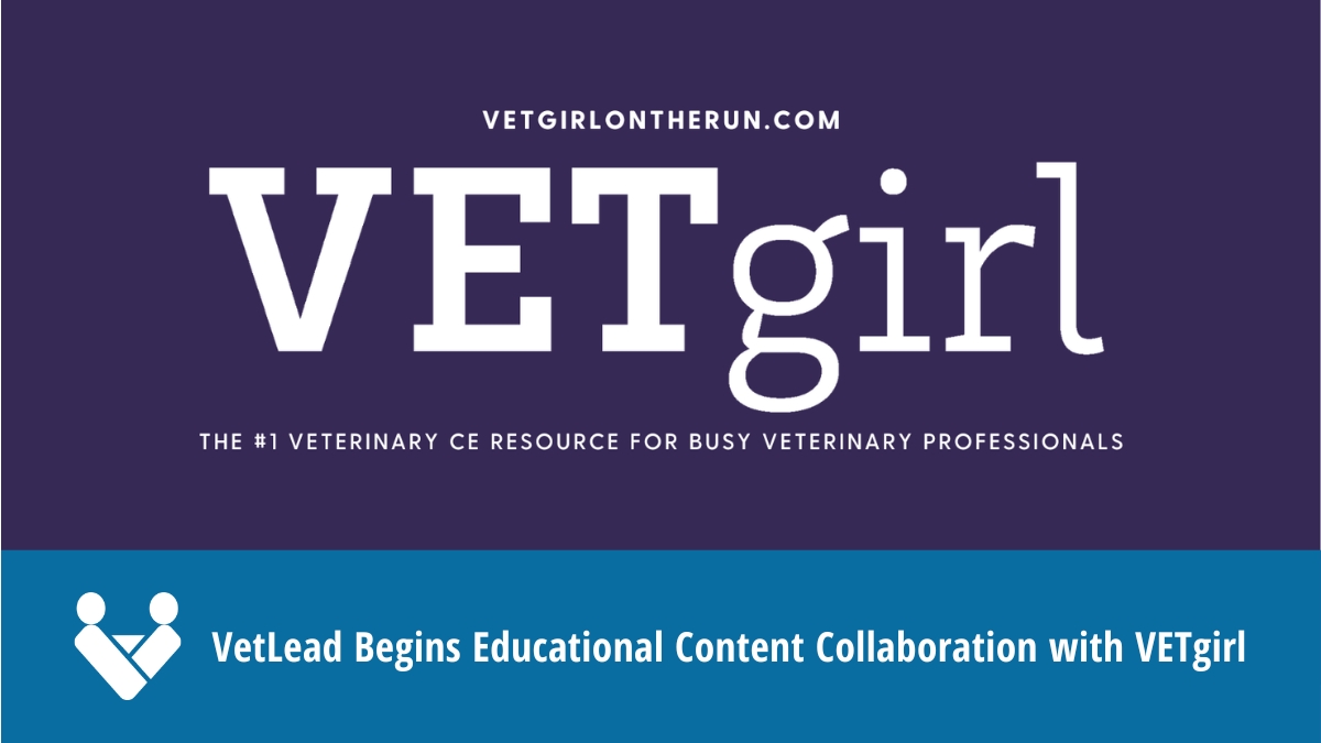 VetLead Begins Educational Content Collaboration with VETgirl