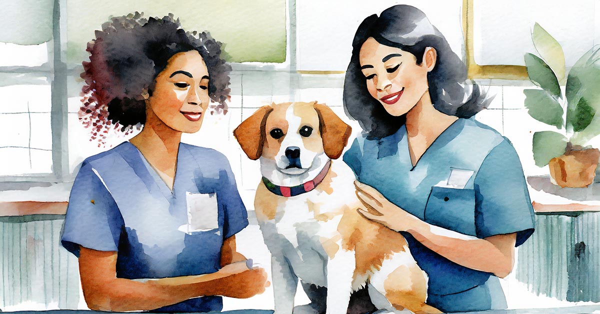 Letting your veterinary team learn