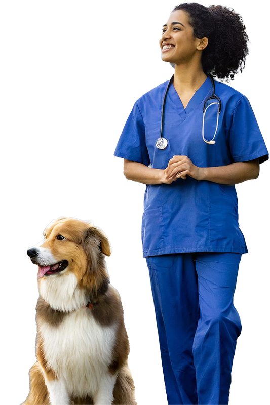 Leadership resources for veterinary professionals