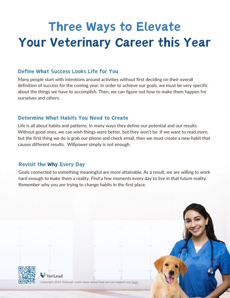 Three Ways to Elevate Your Veterinary Career this Year - VetLead