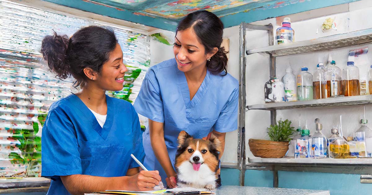 Changing behavior through kindness on towards your veterinary team