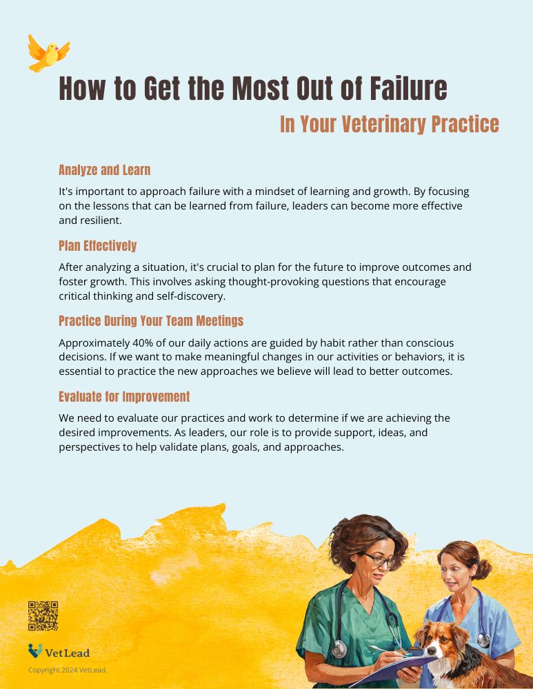 How to Get the Most Out of Failure - VetLead