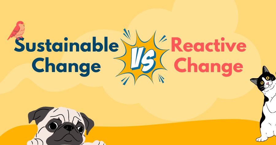 Sustainable vs Reactive Change in Your Veterinary Practice