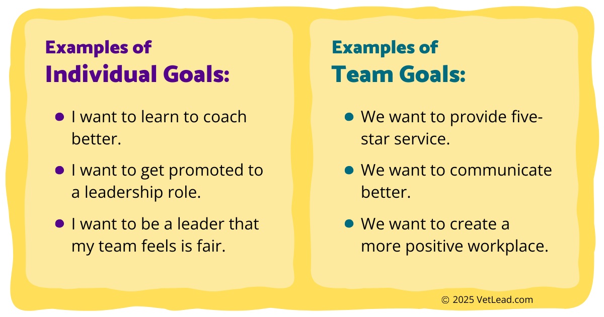 Setting goals in your veterinary practice - VetLead