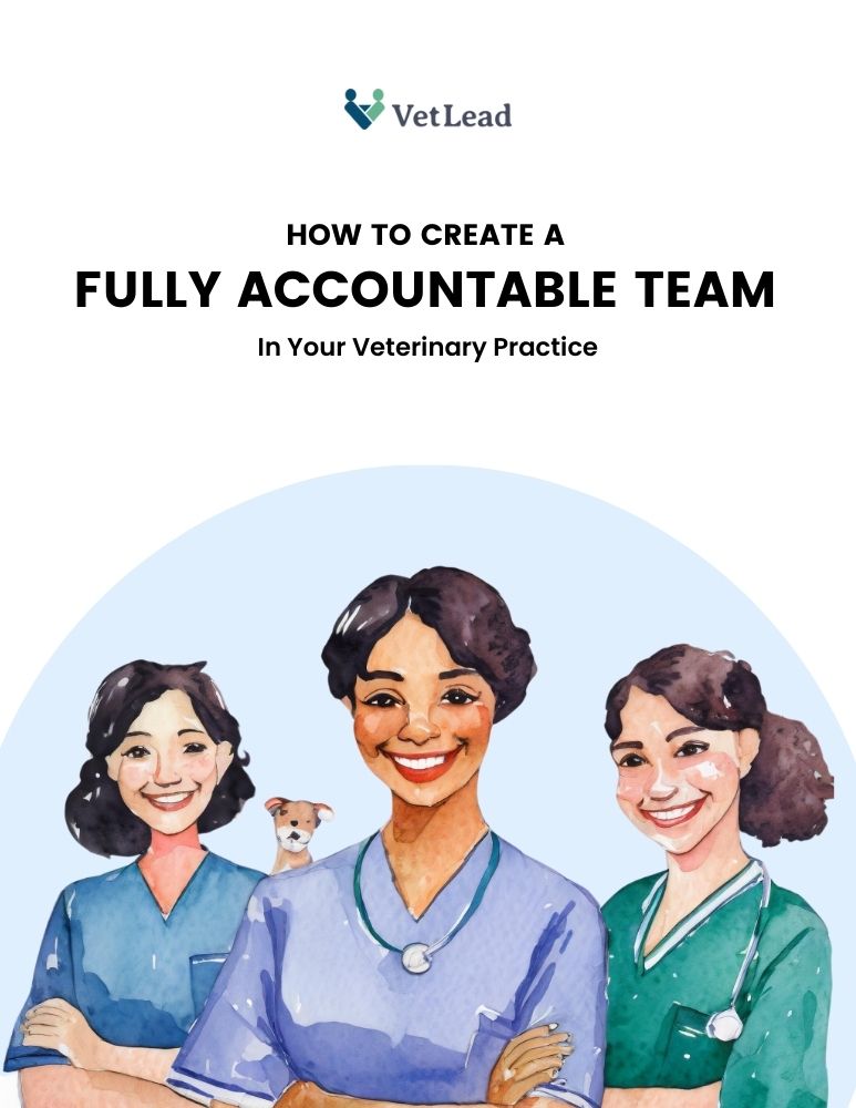 How to Create a Fully Accountable Team - VetLead How to Create a Fully Accountable Team - VetLead