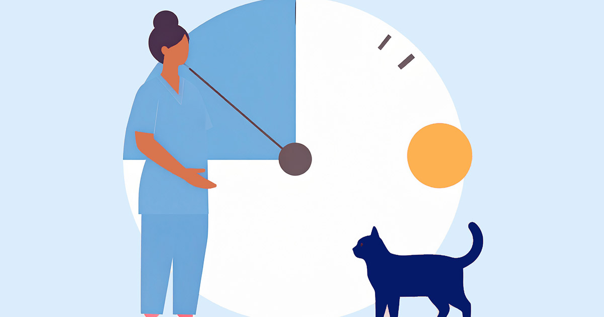 identify one coaching moment veterinary leadership