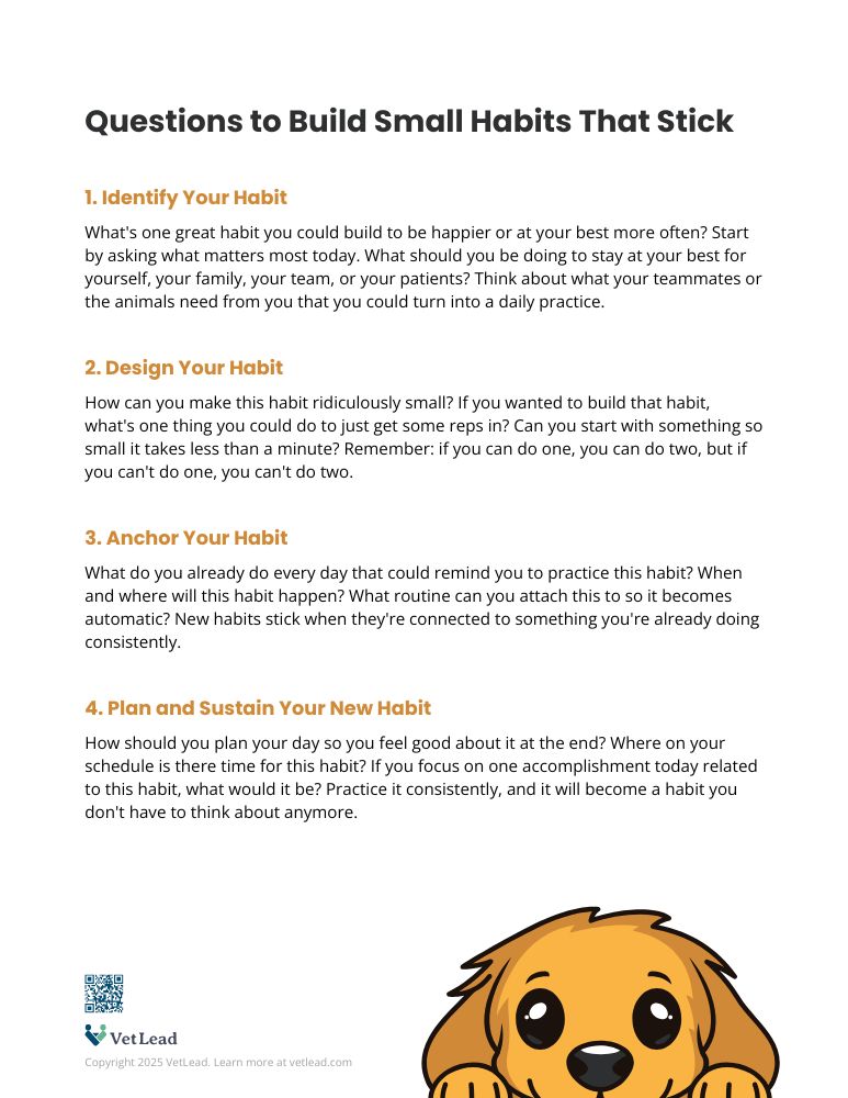 Questions to Build Small Habits That Stick - VetLead Questions to Build Small Habits That Stick - VetLead