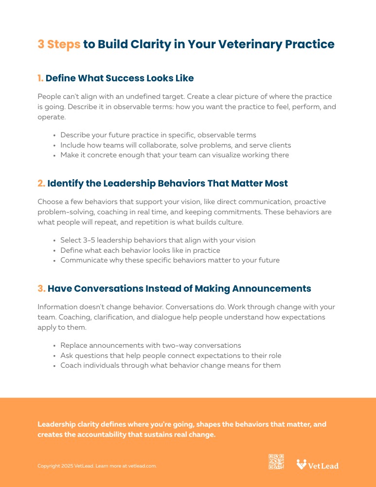 3 Steps to Build Clarity in Your Veterinary Practice - VetLead