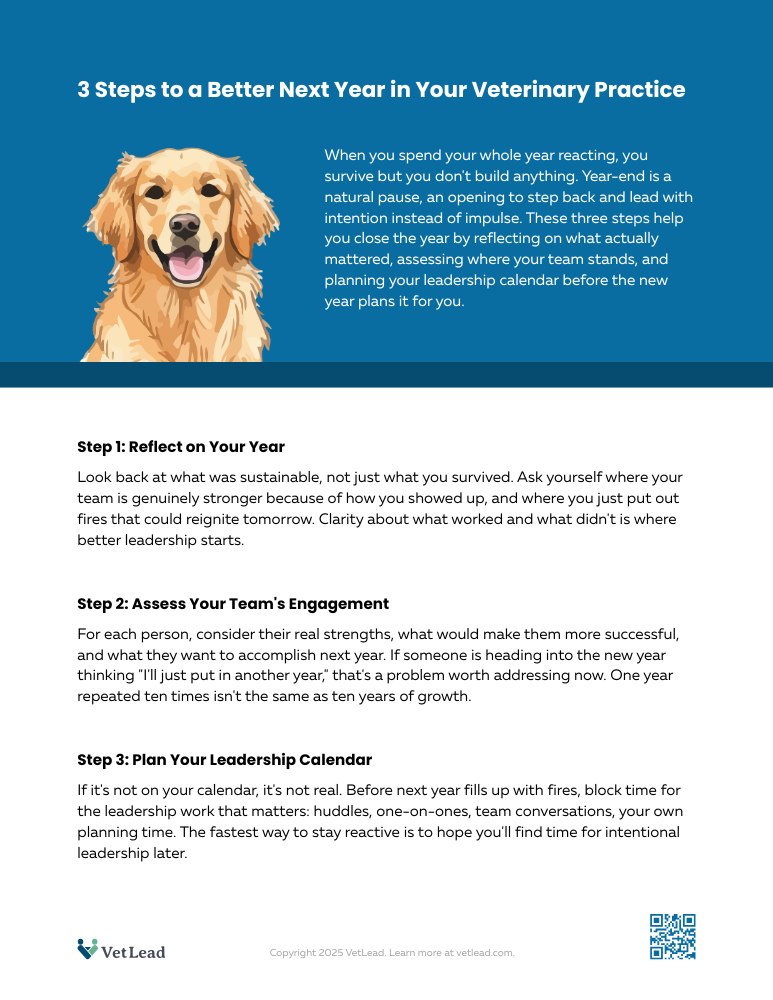 3 Steps to a Better Next Year in Your Veterinary Practice - VetLead 3 Steps to a Better Next Year in Your Veterinary Practice - VetLead