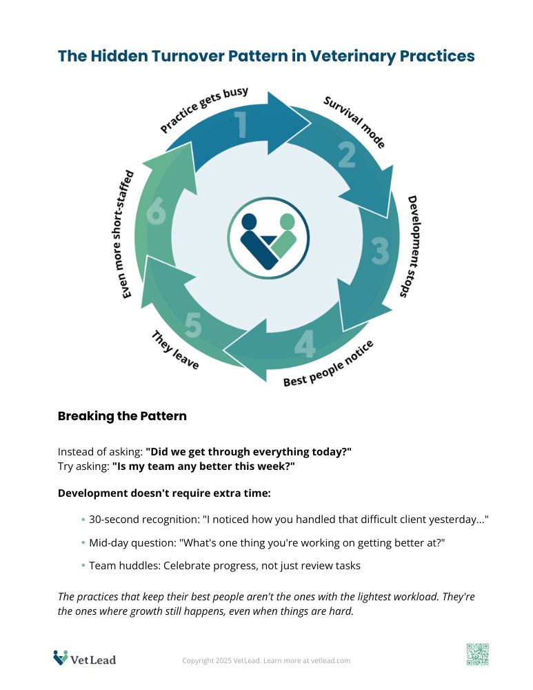 The Hidden Turnover Pattern in Veterinary Practices - VetLead The Hidden Turnover Pattern in Veterinary Practices - VetLead