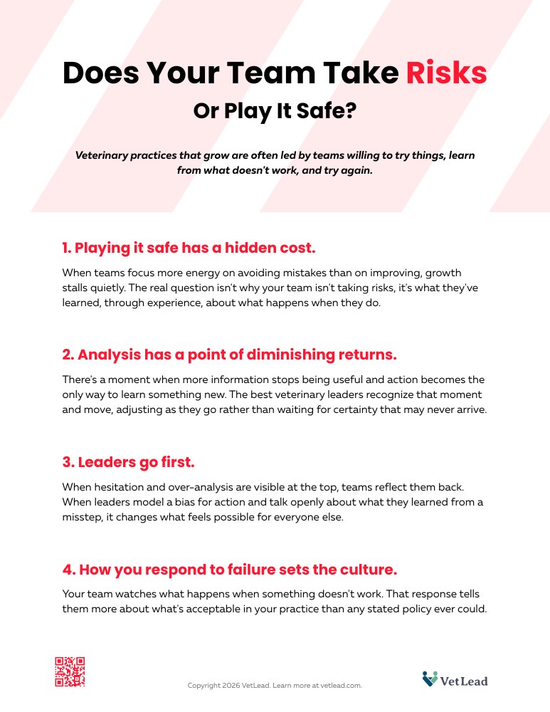 Does Your Team Take Risks Or Play It Safe - VetLead Does Your Team Take Risks Or Play It Safe - VetLead