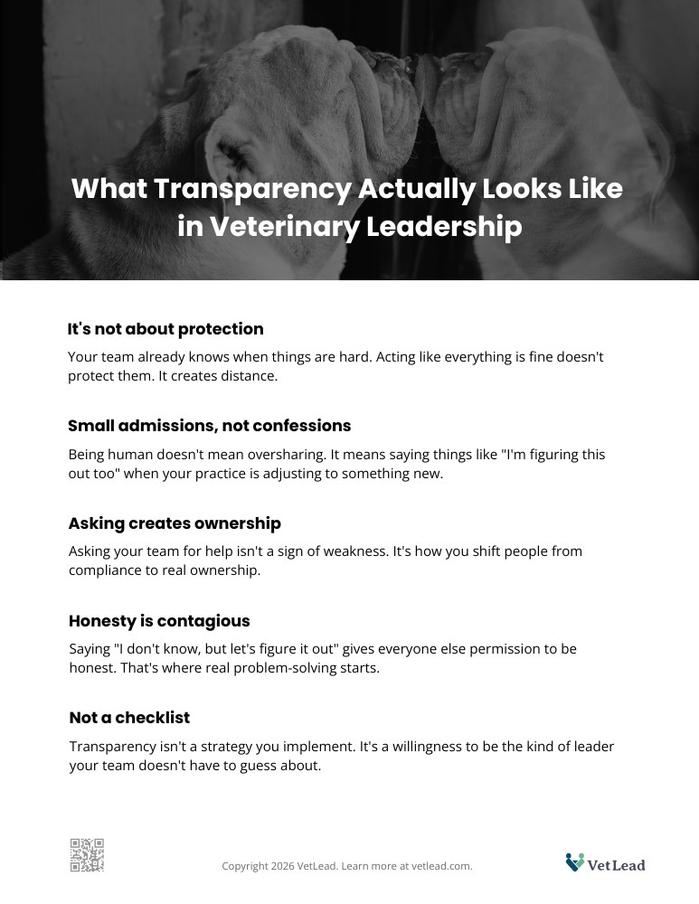 What Transparency Actually Looks Like in Veterinary Leadership Download