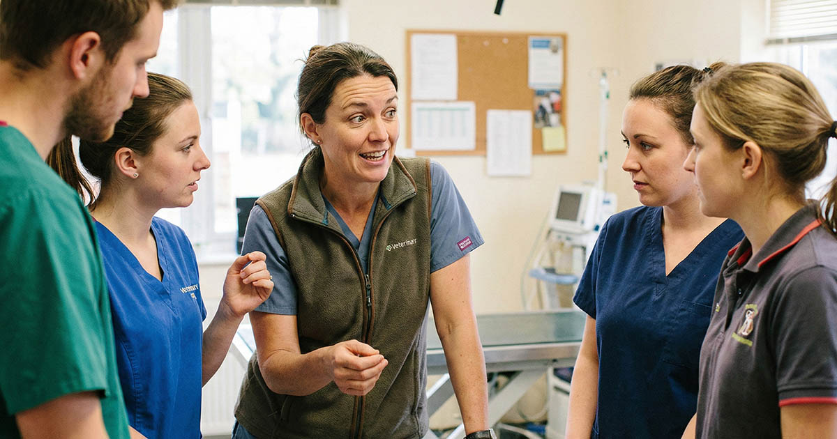 veterinary human side vetlead